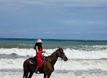 HORSE CLUB (Layan Beach) thumb 10